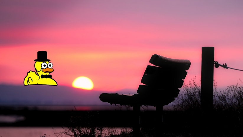 Banc vide au Crépuscule avec un canard à l'horizon