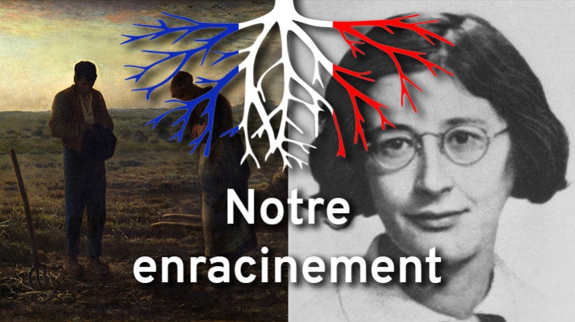Montage enracinement