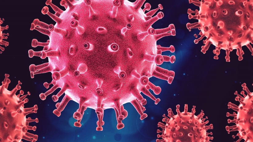 Virus 1