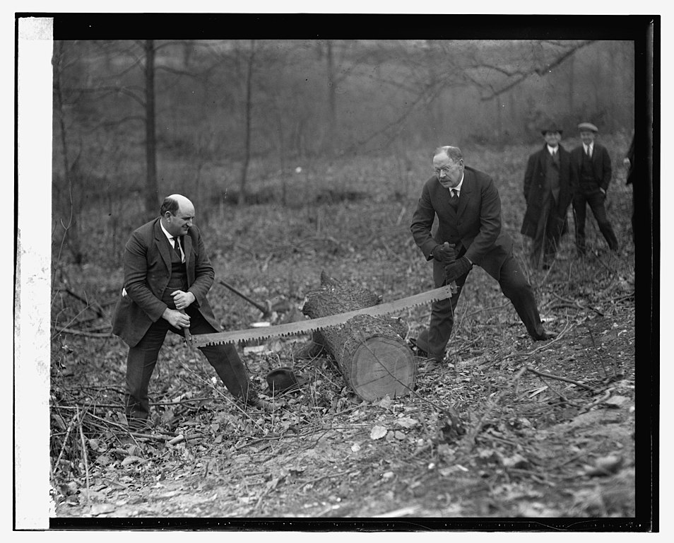 Deux sénateurs américains coupant du bois - 1924