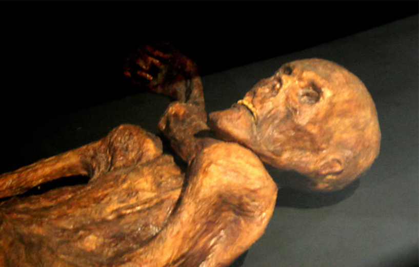 Reconstitution de la momie de Ötzi présentée au musée de Préhistoire de Quinson